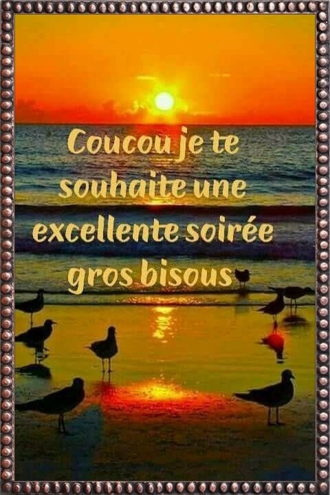 JE VOUS SOUHAITE UNE BONNE SOIREE