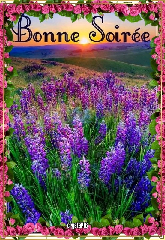 BONNE SOIREE
