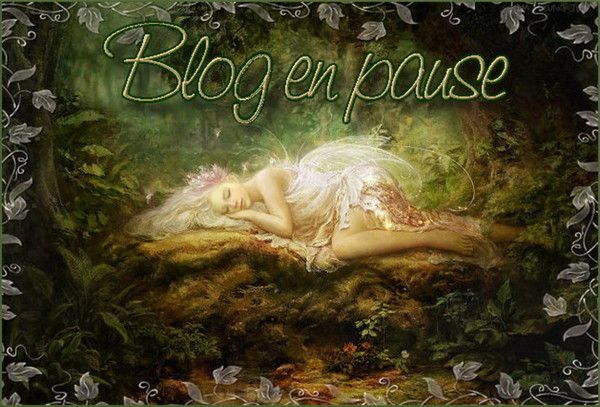**********BLOG EN PAUSE*********