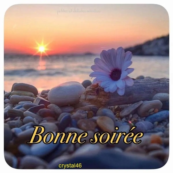 JE VOUS SOUHAITE UNE BONNE SOIREE