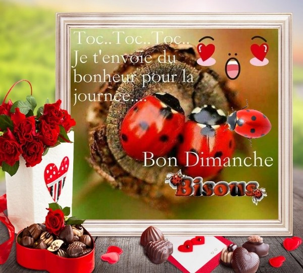 BON DIMANCHE