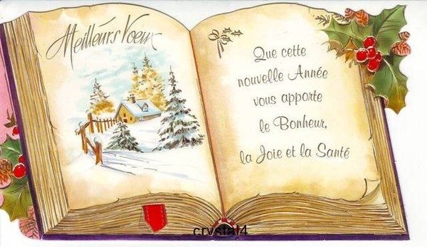MEILLEURS VOEUX POUR CETTE ANNEE 2025
