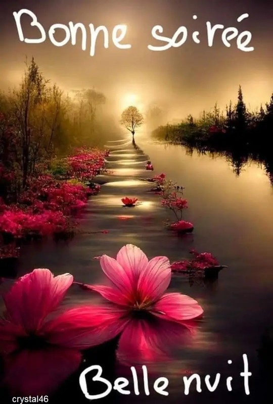 JE VOUS SOUHAITE UNE BONNE SOIREE