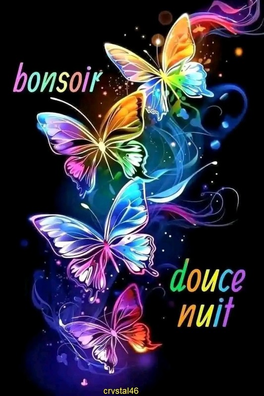 BONSOIR