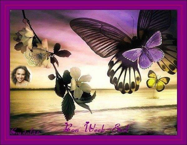 BON WEEK_END.....POUR VOUS