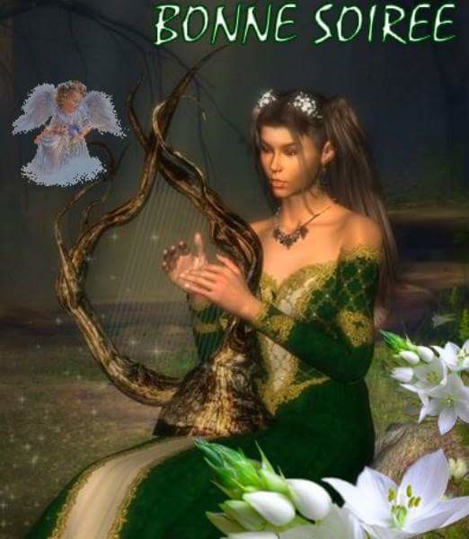 BONNE SOIREE SERVEZ VOUS