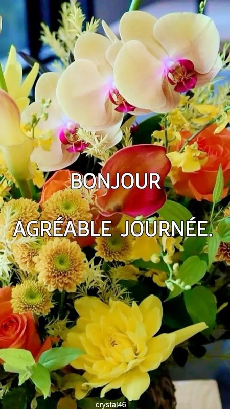 AGREABLE JOURNEE