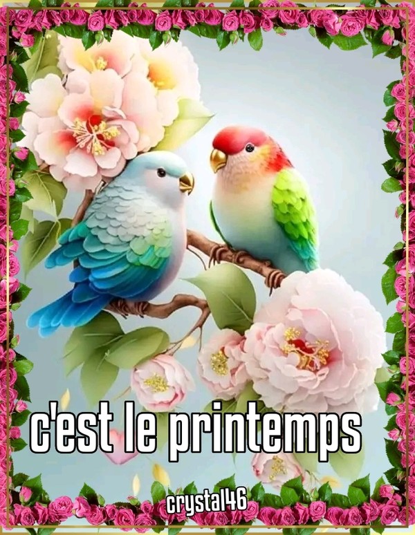 CEST LE PRINTEMPS