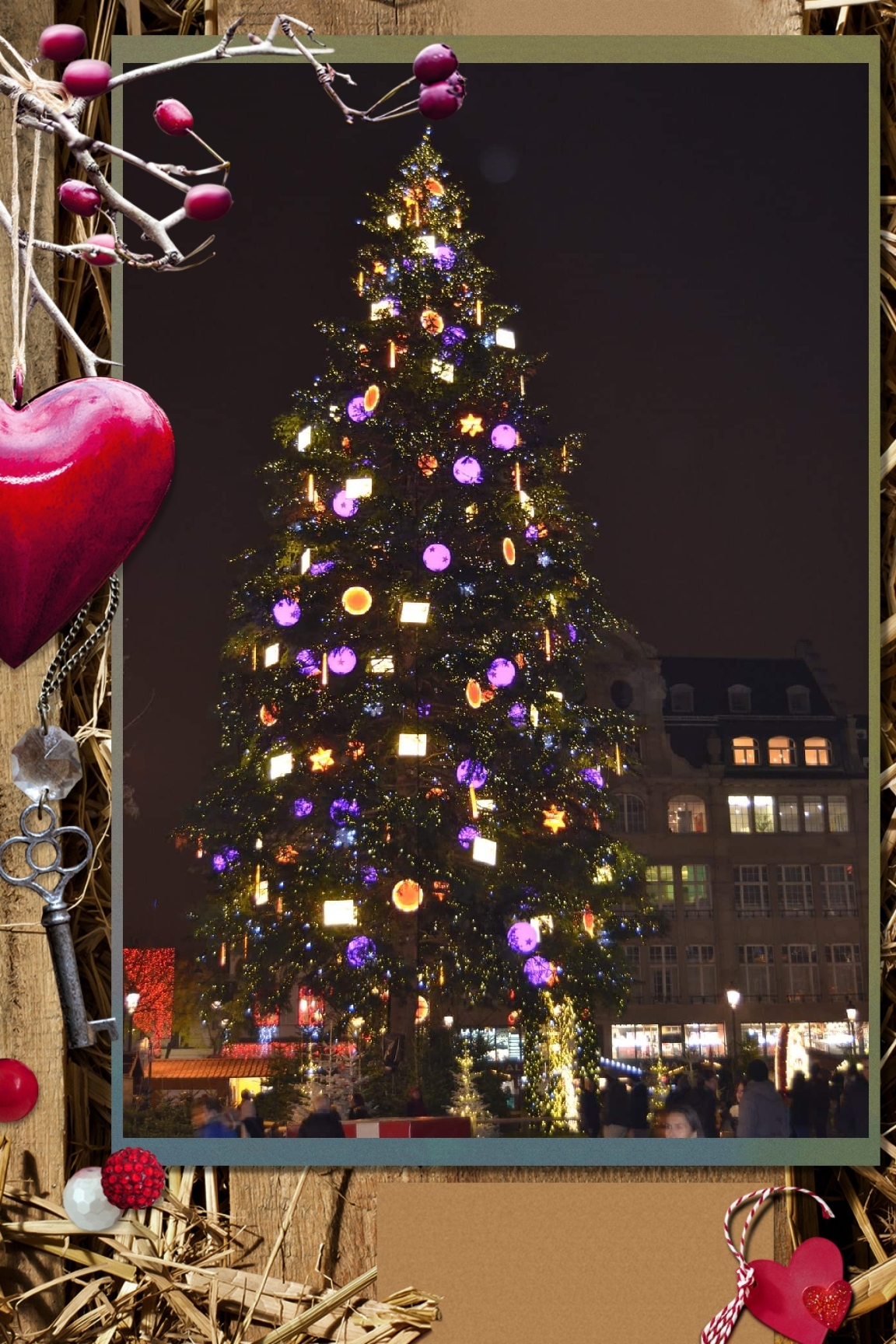 aeyde noel