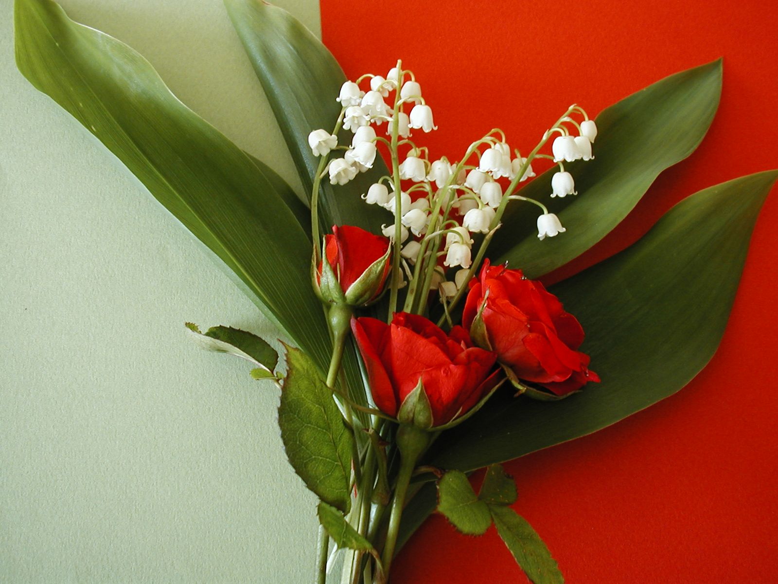 1er mai