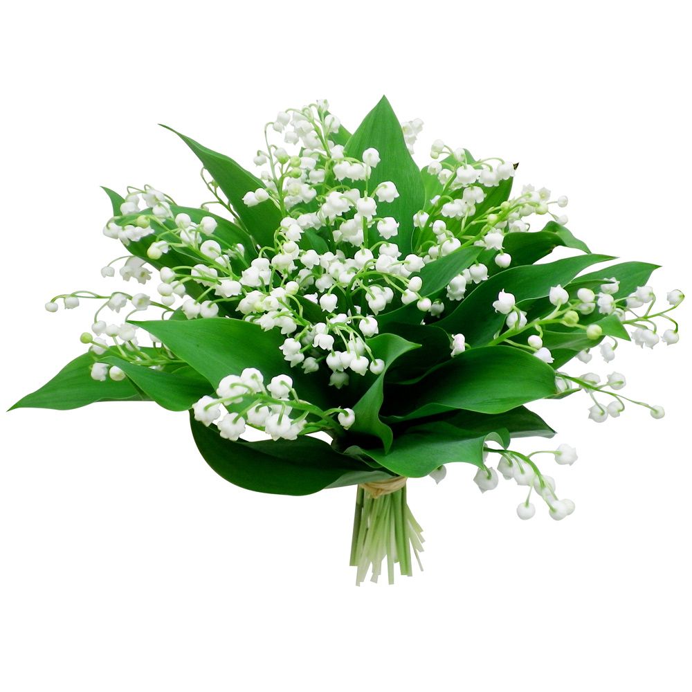 1er mai